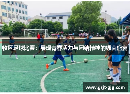 牧区足球比赛：展现青春活力与团结精神的绿茵盛宴